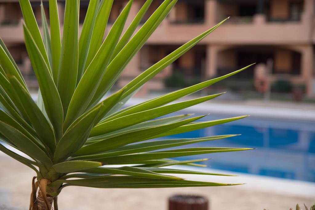 Apartamentos Turisticos Spiritmar Almerimar Kültér fotó